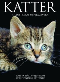 Katter - illustrerat uppslagsverk (inbunden)