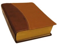 Bibeln Duo Soft liten (inbunden)