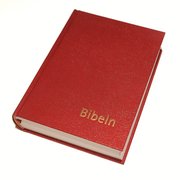 Bibeln konstskinn normal (inbunden)