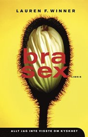 Bra sex : allt jag inte visste om kyskhet (inbunden)