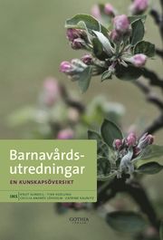 Barnav�rdsutredningar : en kunskaps�versikt (h�ftad)