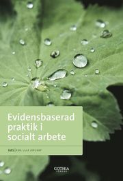 Evidensbaserad praktik i socialt arbete (h�ftad)