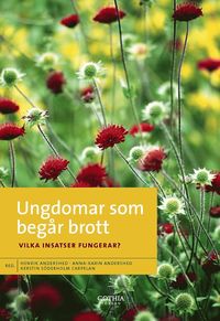 Ungdomar som beg�r brott : vilka insatser fungerar? (h�ftad)