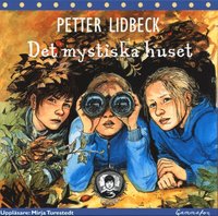 Det mystiska huset (kartonnage)