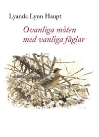 Ovanliga m�ten med vanliga f�glar (inbunden)