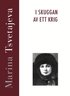 I skuggan av ett krig : m�ten och samtal 1917-1919