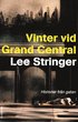 Vinter vid Grand Central