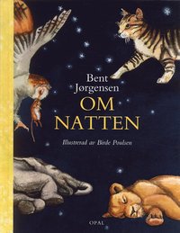 Om natten (inbunden)