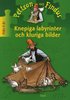 Knepiga labyrinter och kluriga bilder