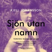 Sj�n utan namn (mp3-bok)