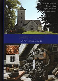 Svenska kyrkor : en historisk reseguide (e-bok)