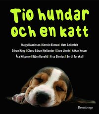 Tio hundar och en katt (pocket)