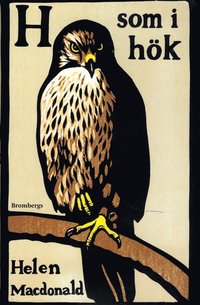 H som i hök (inbunden)