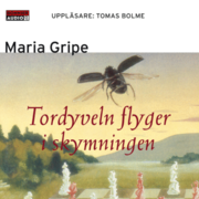 Tordyveln flyger i skymningen (mp3-bok)