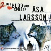 Det blod som spillts (mp3-bok)