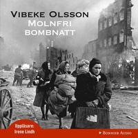 Molnfri bombnatt (mp3-bok)