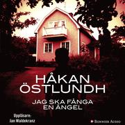 Jag ska f�nga en �ngel (mp3-bok)