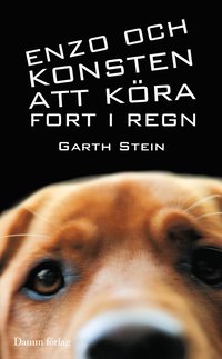 Enzo och konsten att k�ra fort i regn (pocket)