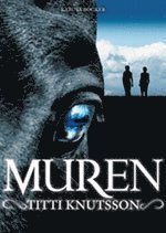 Muren (kartonnage)