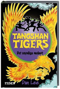Det osynliga molnet (kartonnage)