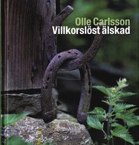 Villkorsl�st �lskad (e-bok)