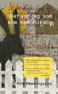 Det var jag som kom hem till dig (h�ftad)