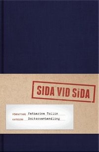 Sida vid sida : en studie av j�mst�lldhetspolitikens genealogi 1971-2006 (h�ftad)