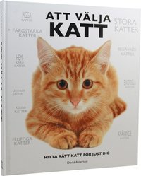Att v�lja katt : hitta r�tt katt f�r just dig (inbunden)