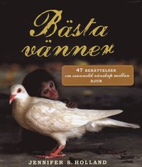 B�sta v�nner : 47 ber�ttelser om osannolik v�nskap mellan djur (inbunden)