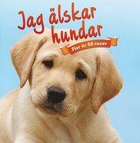 Jag älskar hundar (inbunden)