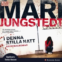 I denna stilla natt (ljudbok)
