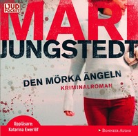 Den m�rka �ngeln (ljudbok)