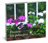 Passion f�r pelargon : en samlares m�ten