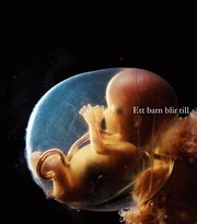 Ett barn blir till (inbunden)