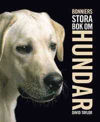 Bonniers stora bok om hundar (inbunden)