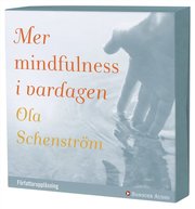Mer mindfulness i vardagen (ljudbok)