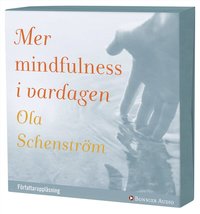 Mer mindfulness i vardagen (ljudbok)