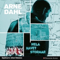 Hela havet stormar (ljudbok)