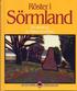 R�ster i S�rmland : en antologi