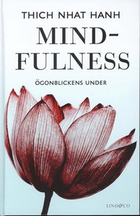 Mindfulness : �gonblickens under (kartonnage)