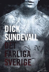 Det farliga Sverige (pocket)
