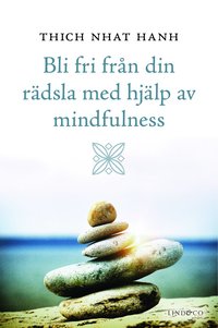 Bli fri fr�n din r�dsla med hj�lp av mindfulness (kartonnage)