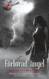 F�rlorad �ngel