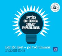 Uppt�ck och skydda dig mot energitjuvar : p� en timme (ljudbok)