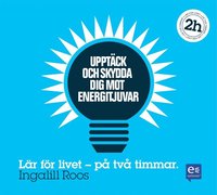 Uppt�ck och skydda dig mot energitjuvar: P� tv� timmar (inbunden)