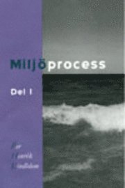 Milj�process Om Domstolarnas Roll, Forum, Kumulation, Intresseavv�g ... D. (inbunden)