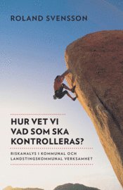 Hur vet vi vad som ska kontrolleras? : riskanalys i kommunal och landstingskommunal verksamhet (inbunden)