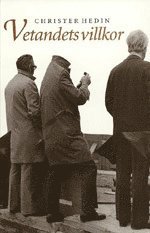Vetandets villkor : vetenskapsteori och verklighetsuppfattningar i historis (inbunden)