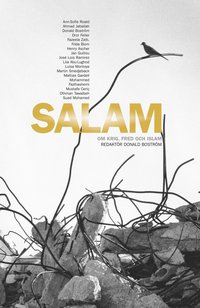 Salam : om krig, fred och islam (pocket)