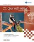 Fotografera djur och natur med din digitalkamera